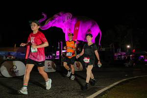 BIB: 
                            <button type="button" onclick="openModal(26534379)" class="btn btn-primary btn-sm float-right btn-popup" data-toggle="modal" data-target=".modal-high-quality">
                        <i class="fas fa-shopping-cart"></i> Add to Cart
                    </button>
                                            <button type="button" onclick="isThisMe(26534379, true)" class="btn btn-success btn-sm float-right btn-popup btn-isme hidden" data-toggle="tooltip" data-placement="bottom" title="นี่คือรูปของคุณใช่ไหม คลิกที่นี่เพื่อเอาเข้าอัลบั้ม">
                        <i class="fas fa-plus"></i> Add to album
                    </button>
                    <button type="button" onclick="isThisMe(26534379, false)" class="btn btn-warning btn-sm float-right btn-popup btn-isnotme hidden">
                        <i class="fas fa-ban"></i> Remove from album
                    </button>